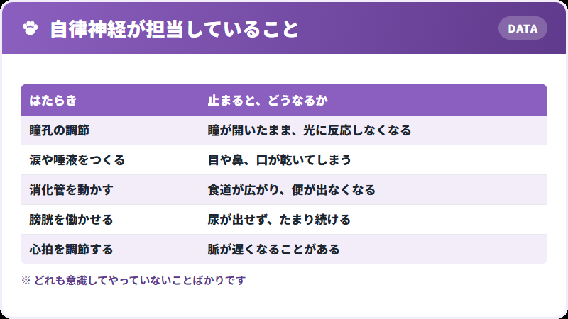 自律神経の仕事