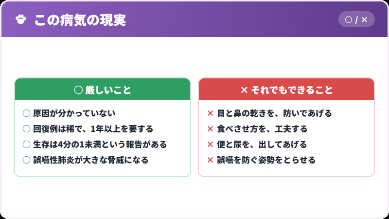 向き合い方