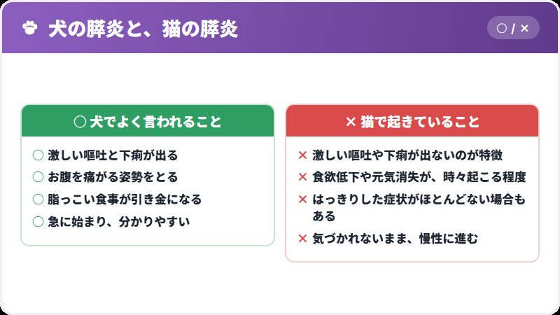 犬と猫の膵炎の違い