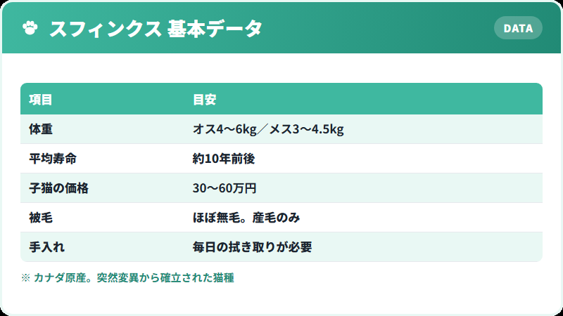 スフィンクスの基本データ 体重・寿命・価格の一覧