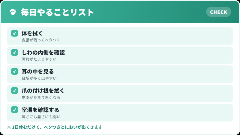 スフィンクスの毎日のケア チェックリスト