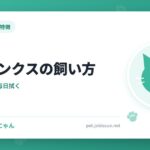 スフィンクスの飼い方