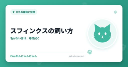 スフィンクスの飼い方