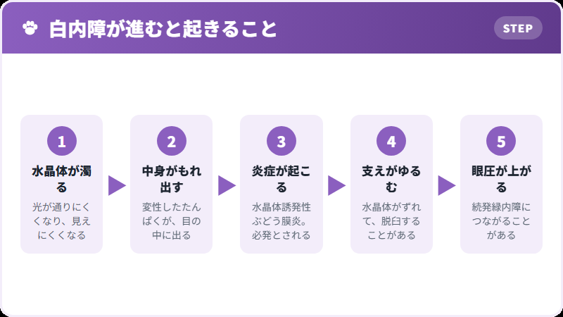進むと起きること