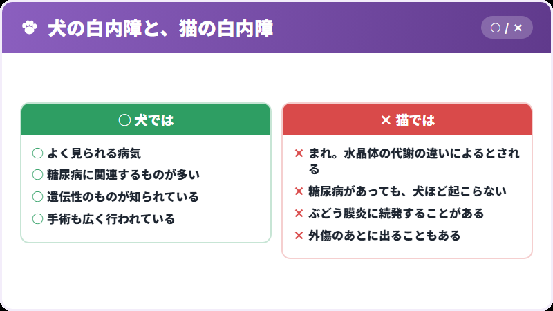 犬との違い