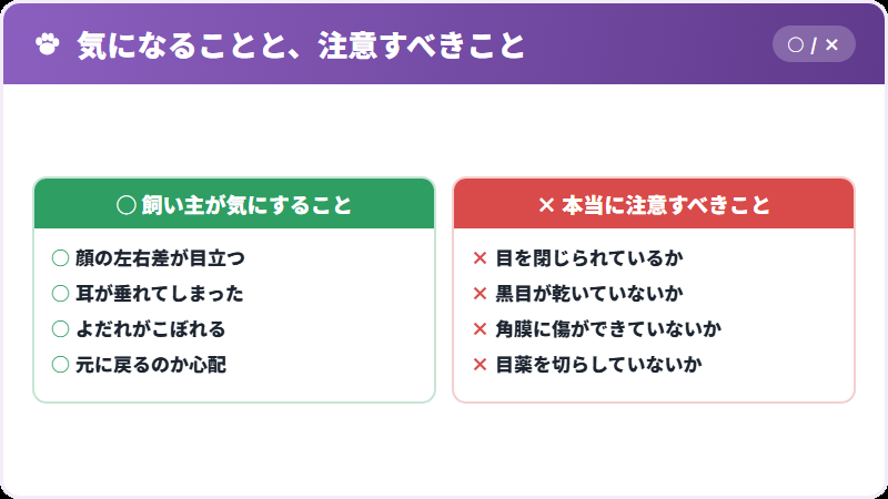 顔と目