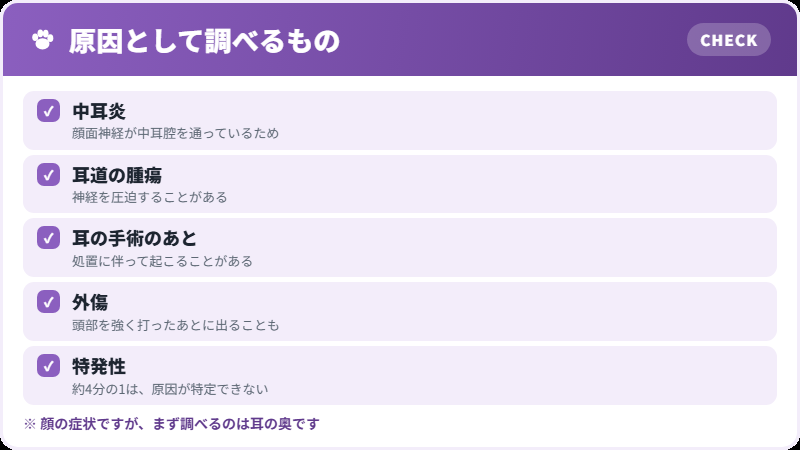 探すもの