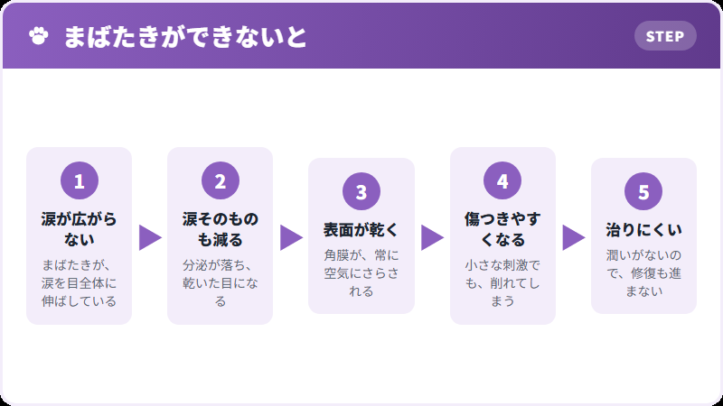 乾くと起きること