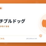 フレンチブルドッグ