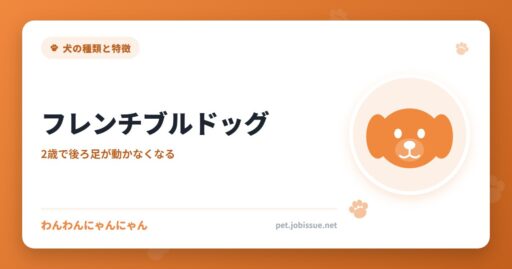 フレンチブルドッグ