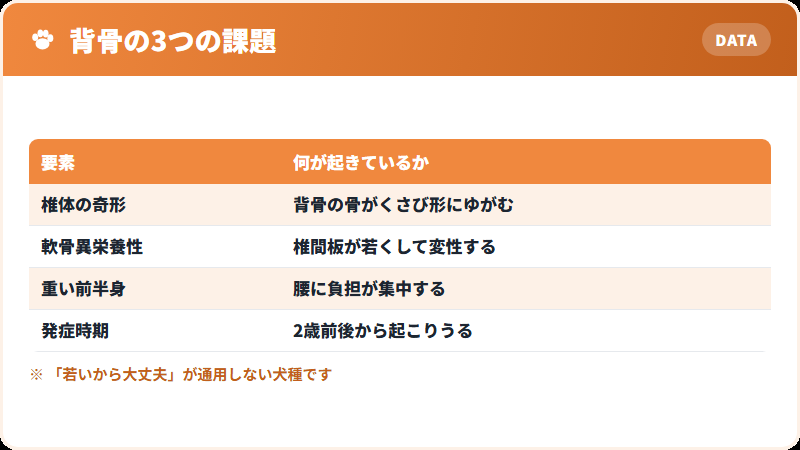 フレンチブルドッグの背骨に起きていること
