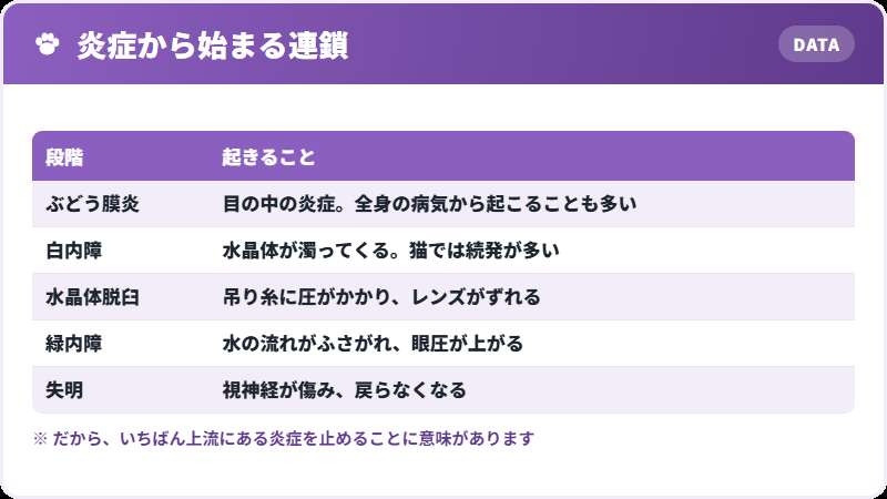 つながり