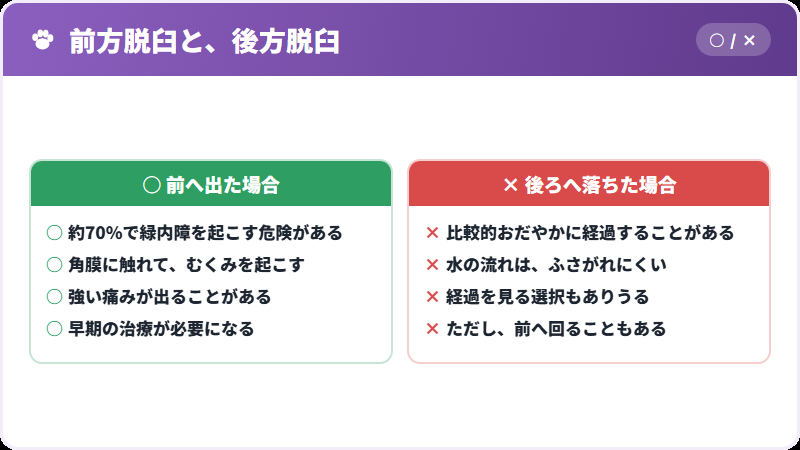 前と後ろ