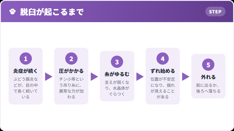 吊り糸がゆるむまで