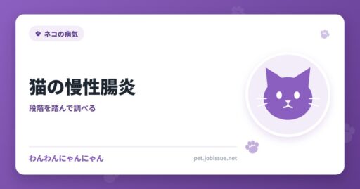 猫の慢性腸炎
