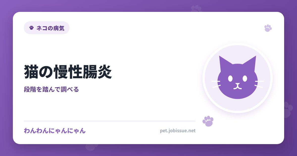 猫の慢性腸炎