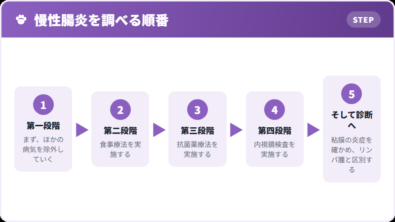 診断の四段階