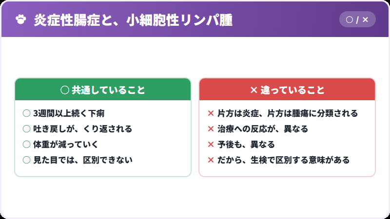 腸炎とリンパ腫の違い
