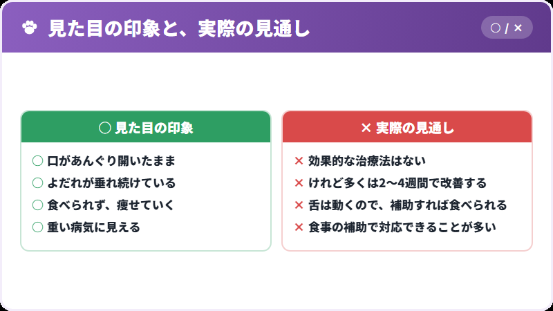 見た目と予後
