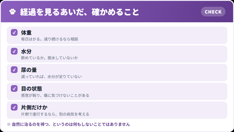 見ておくこと
