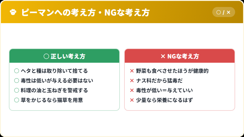 ピーマンに対する正しい考え方とNGな考え方