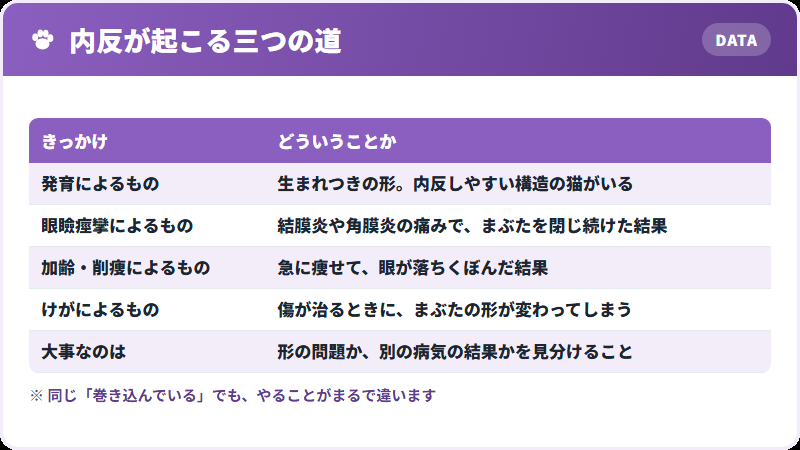 起こり方
