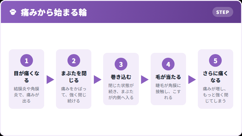 悪循環