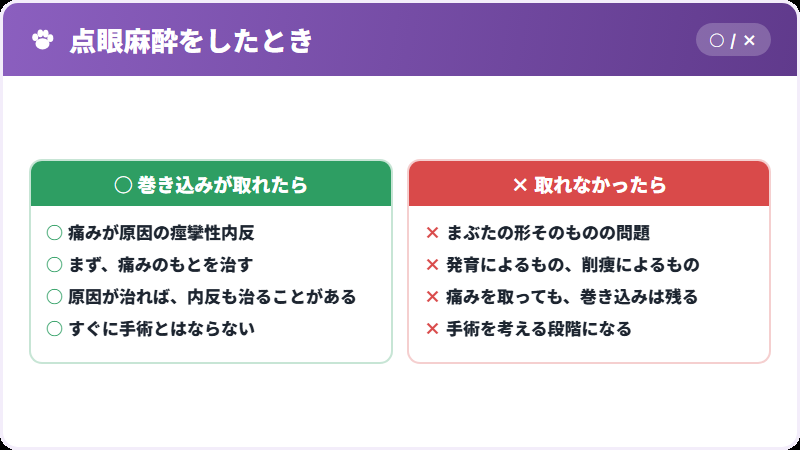 点眼麻酔で分かること
