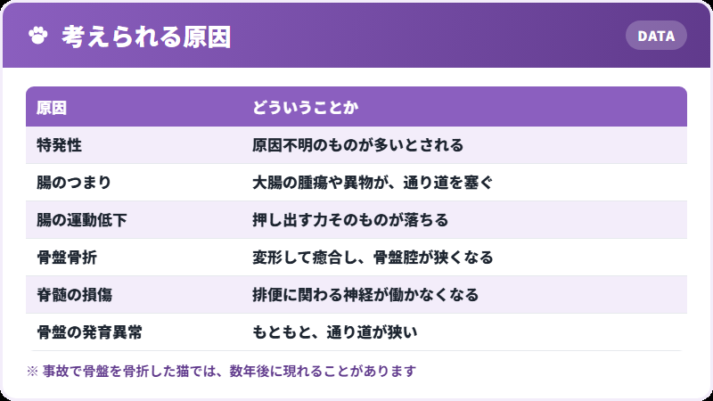 巨大結腸症の原因