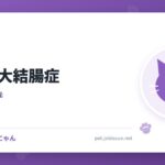 猫の巨大結腸症