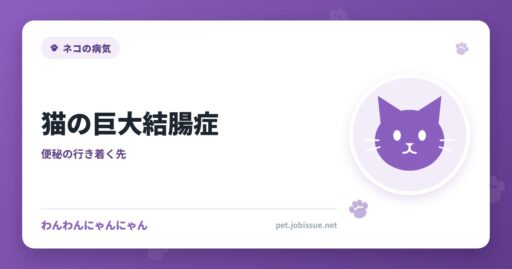 猫の巨大結腸症