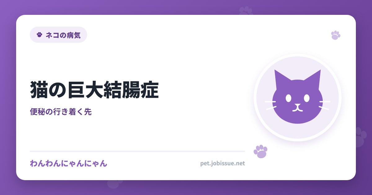 猫の巨大結腸症