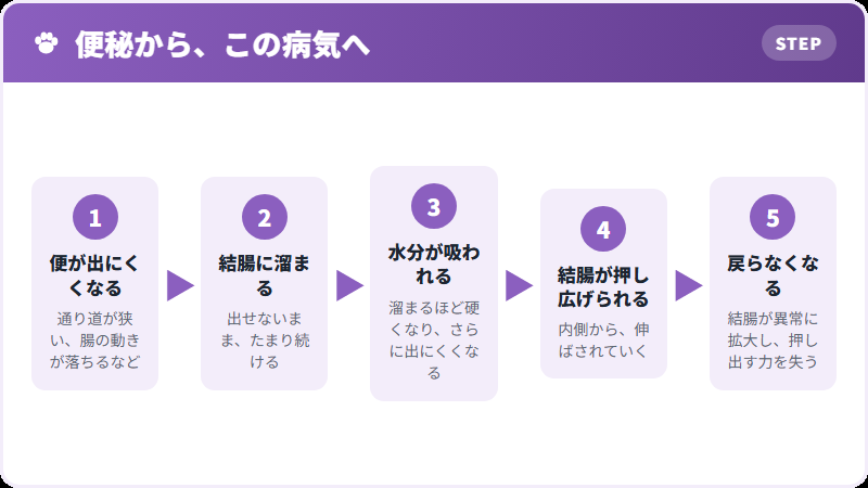 巨大結腸症になるまで
