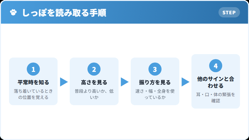 犬種によるしっぽの形の違い