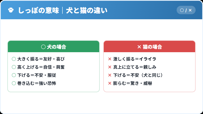 犬と猫でしっぽの意味が違うことを示す比較