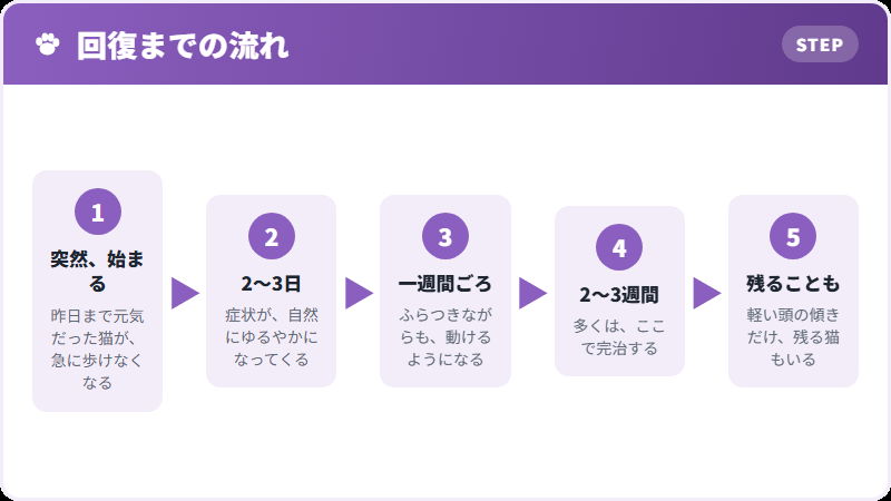 回復の経過