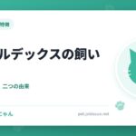 フォールデックスの飼い方