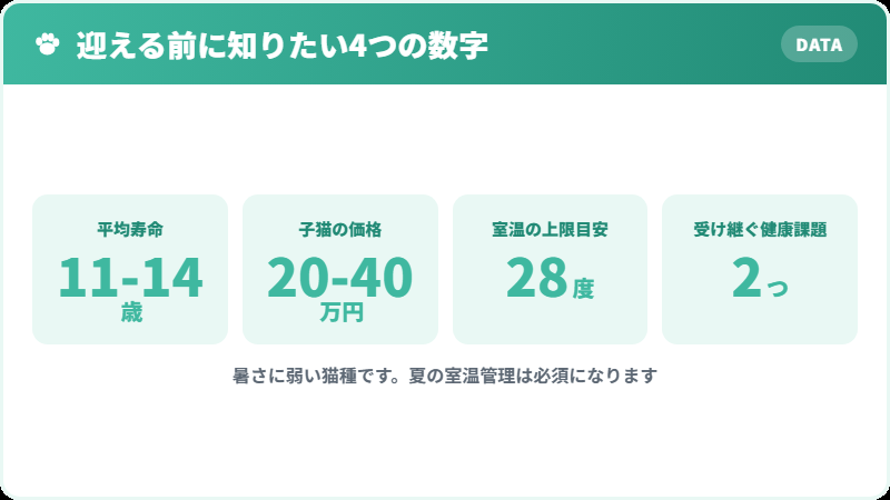 フォールデックスを迎える前に知っておきたい4つの数字