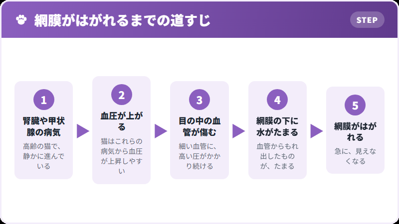 つながり
