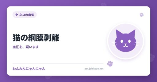 猫の網膜剥離