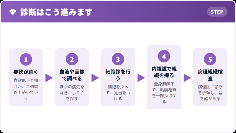 診断までの流れ