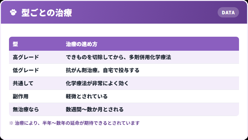治療の中身