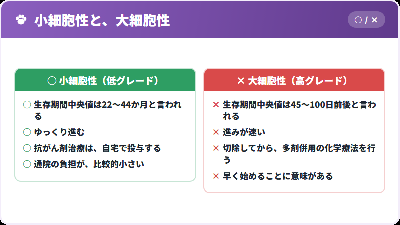 二つの型の違い