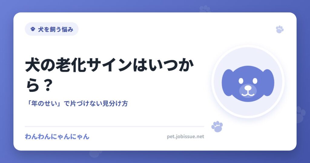 犬の老化サインはいつから？