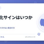 犬の老化サインはいつから？