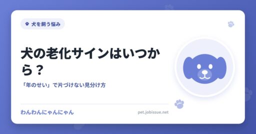 犬の老化サインはいつから？