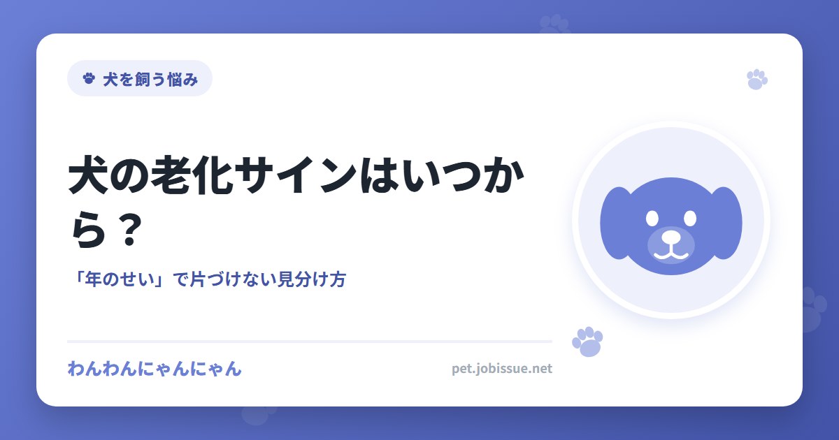 犬の老化サインはいつから？