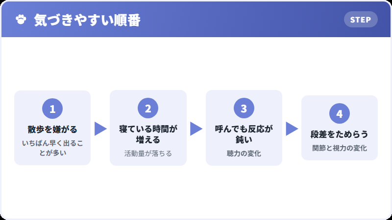 部位別の老化サイン