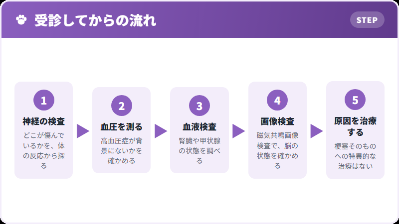 診断と治療の流れ