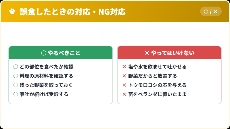 猫の野菜誤食に対する正しい対応とNG対応